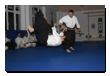 Kampfsport Aikido Berlin