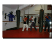 Dragons Gym