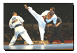 Kampfsport Kickboxen Berlin