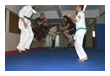Kampfsport Kickboxen Berlin
