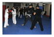 Kampfsport Kickboxen Berlin