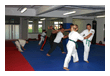 Kampfsport Kickboxen Berlin