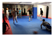 Kampfsport Kickboxen Berlin