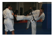Kampfsport Kickboxen Berlin