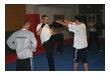 Kampfsport Kickboxen Berlin