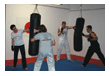 Kampfsport Kickboxen Berlin
