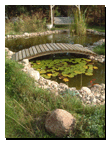Sein Teich