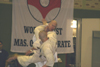 Kampfsport Kickboxen Berlin