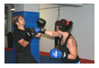 Kampfsport Kickboxen Berlin