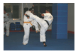 Kampfsport Kickboxen Berlin