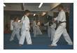Kampfsport Kickboxen Berlin
