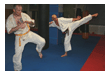 Kampfsport Kickboxen Berlin