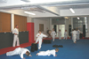 Kampfsport Kickboxen Berlin