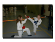 Taika Karate