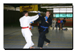 Taika Karate