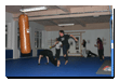 Kampfsport Kickboxen Berlin