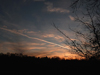 stimmung