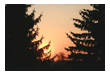 stimmung