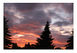 stimmung